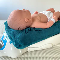 Housse microéponge pèse-bébé - PAON