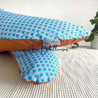 Coussin d'allaitement rechargeable avec housse coton - SANTORIN
