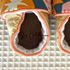 Chaussons souples pour bébé taille 9-18 mois – JOY
