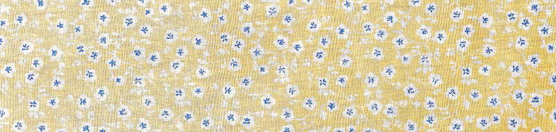 Collection éphémère