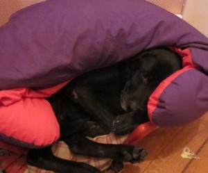 Utilisation alternative d'un coussin d'allaitement