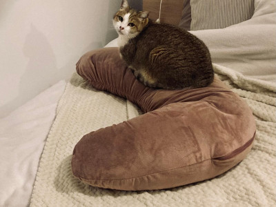 Et donner une seconde vie à son coussin de maternité